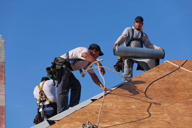 Best Roof Replacement Cost  in Trenton, TN