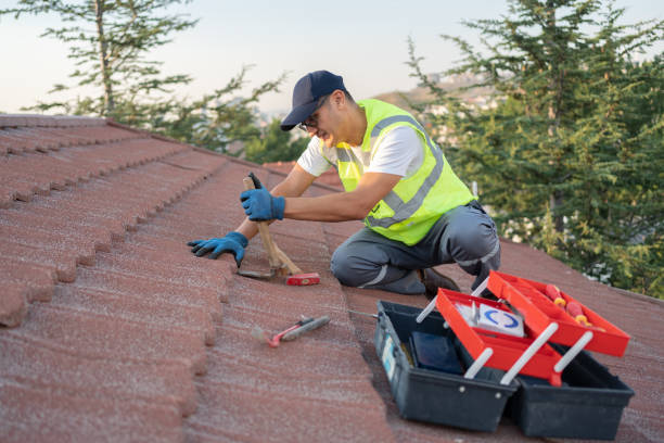 Roof Gutter Cleaning in Trenton, TN
