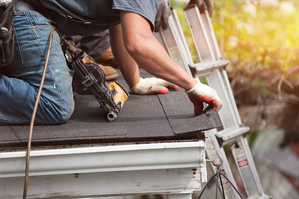 Best Gutter Installation and Roofing  in Trenton, TN