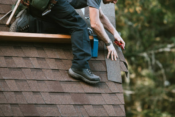 Best Commercial Roof Installation  in Trenton, TN